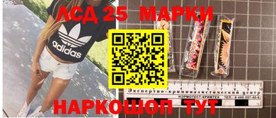 гидропоника Обнинск