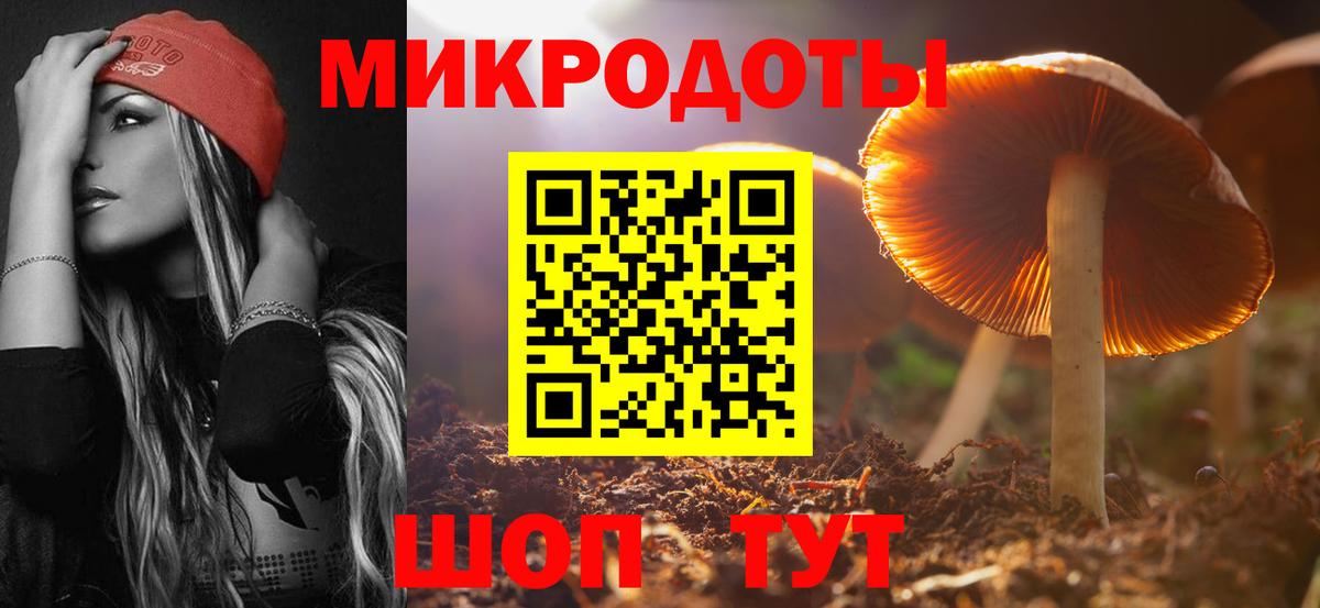 Галлюциногенные грибы GOLDEN TEACHER  Вход с VPN  Тамбов 